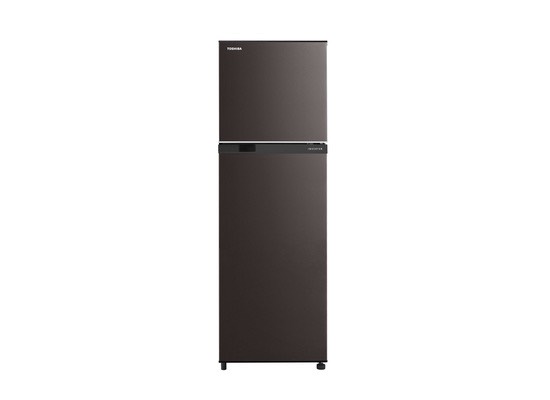 TOSHIBA 東芝-262L《變頻-雙門》電冰箱